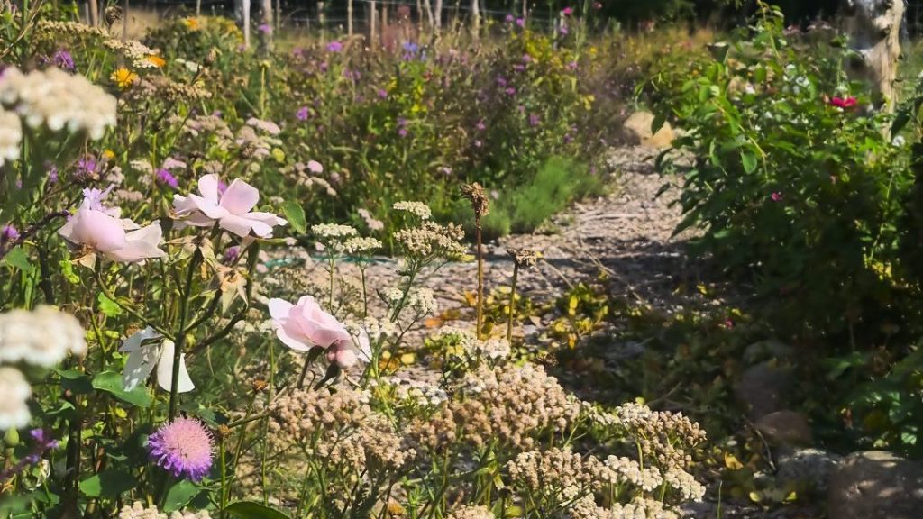 besøgshave i præstø