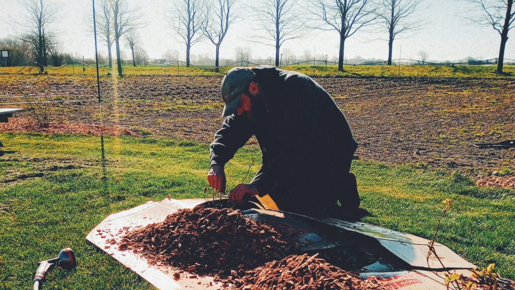 arbejde med bed efter permakulturens princip