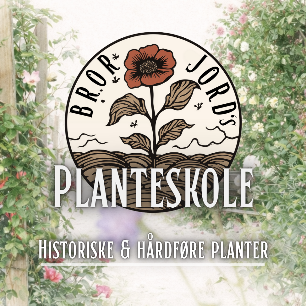 brorjords planteskole - historiske og hårdføre planter