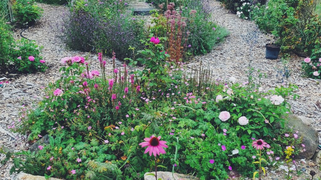 planteskole med permakultur